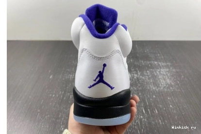 Retro Dark 5 Concord Jordan 0802